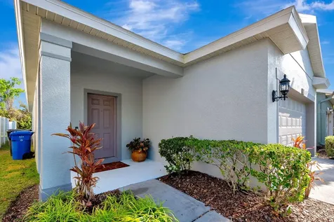 9116 Mountain Camellia Lane Riverview FL 33578