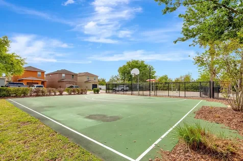 9116 Mountain Camellia Lane Riverview FL 33578