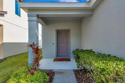 9116 Mountain Camellia Lane Riverview FL 33578