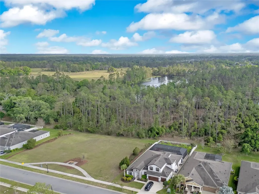 21914 Butterfly Kiss Drive Land O Lakes FL 34637