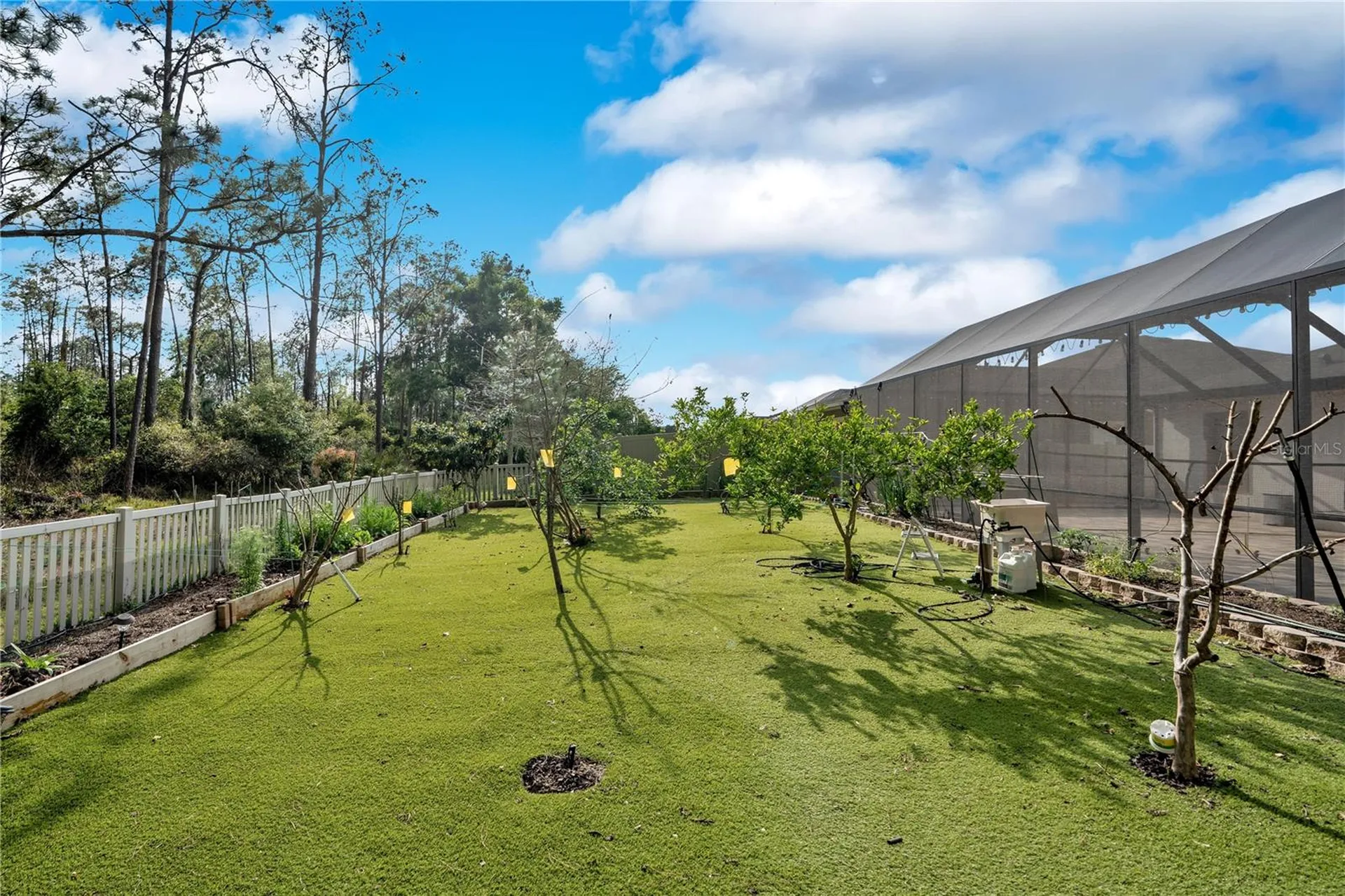 21914 Butterfly Kiss Drive Land O Lakes FL 34637
