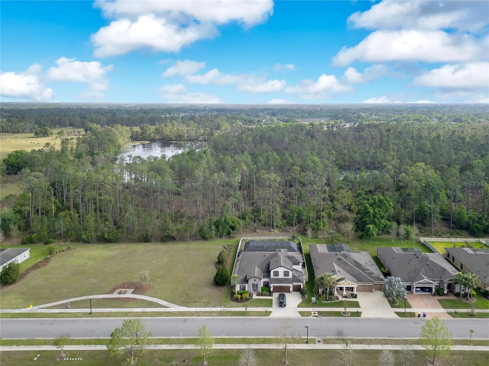 21914 Butterfly Kiss Drive Land O Lakes FL 34637