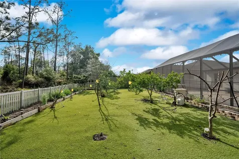 21914 Butterfly Kiss Drive Land O Lakes FL 34637