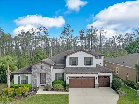 21914 Butterfly Kiss Drive Land O Lakes FL 34637