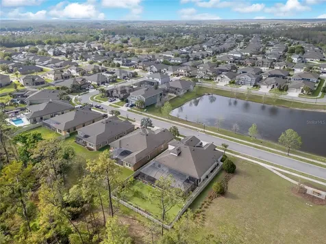 21914 Butterfly Kiss Drive Land O Lakes FL 34637