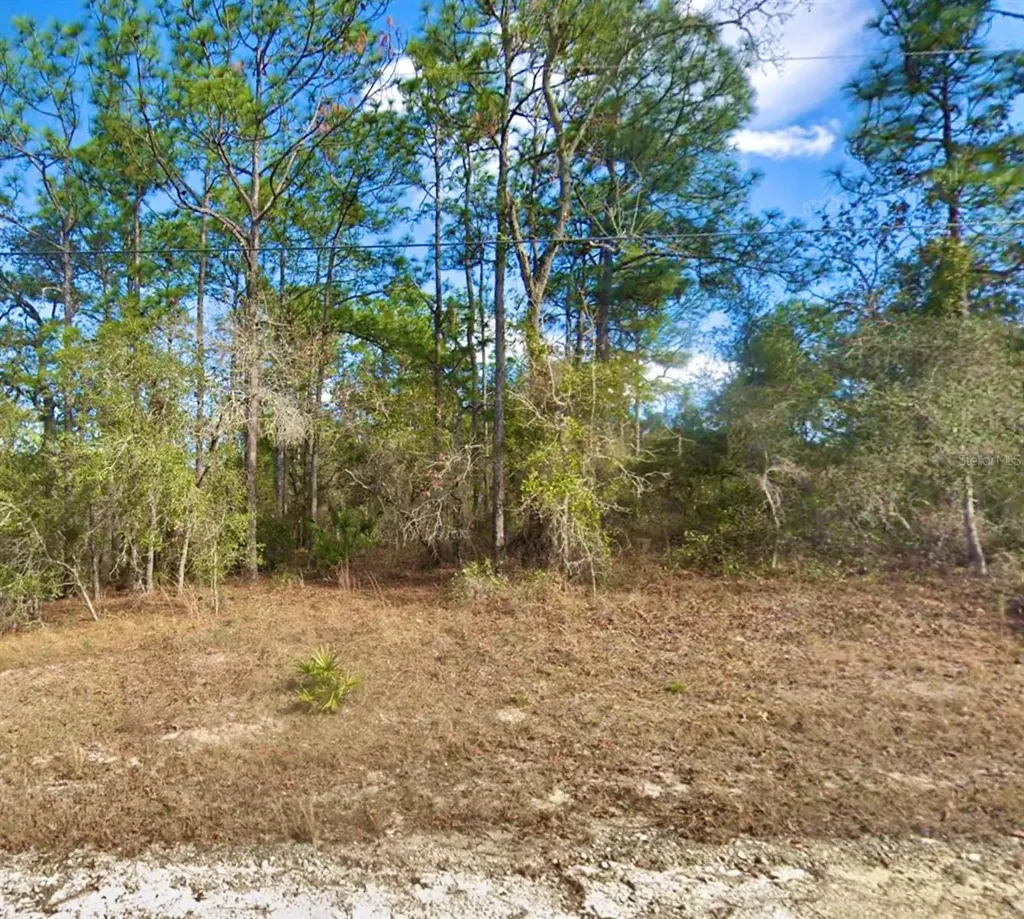 8110 Nordica Road Weeki Wachee FL 34613