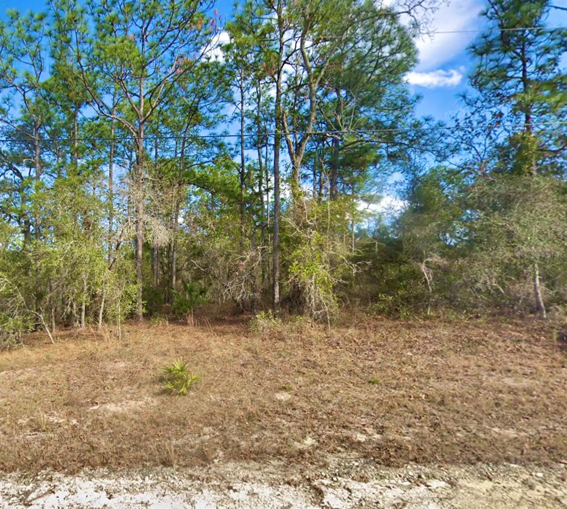 8110 Nordica Road Weeki Wachee FL 34613