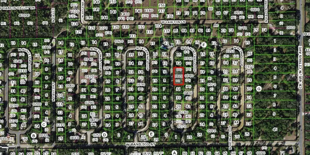 8646 N Discalfani Loop Crystal River FL 34428