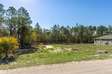 12348 Snowy Egret Avenue Weeki Wachee FL 34614