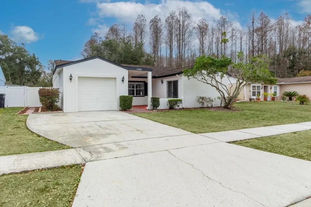 14003 Basin Street Tampa FL 33625