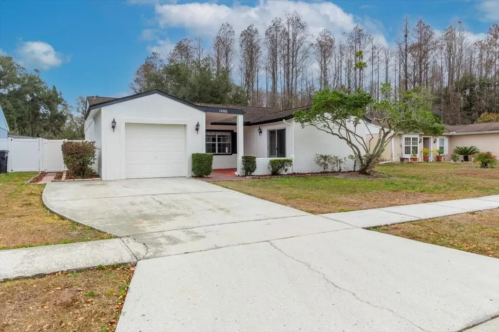 14003 Basin Street Tampa FL 33625