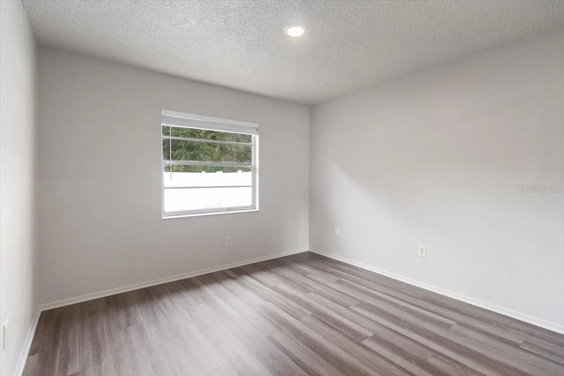 14003 Basin Street Tampa FL 33625