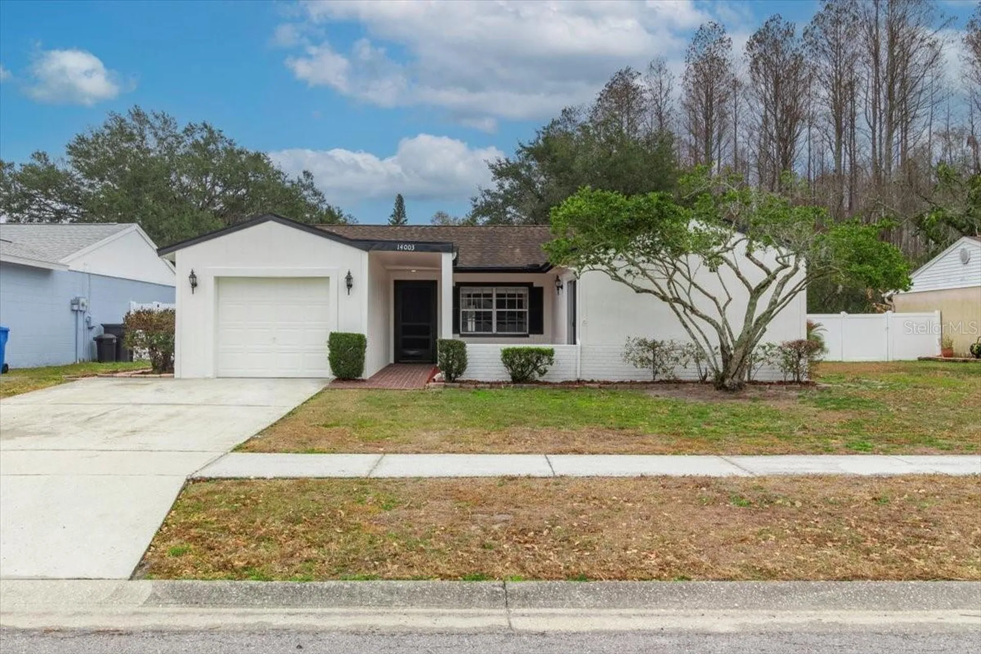 14003 Basin Street Tampa FL 33625