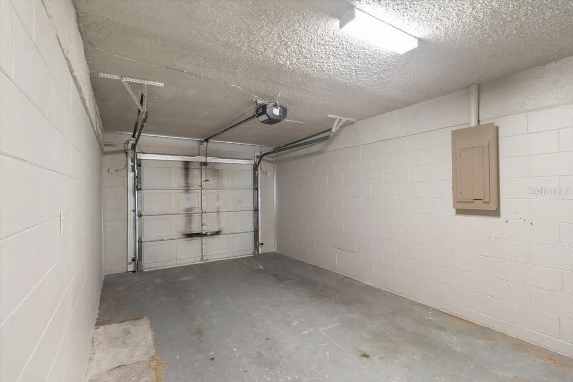 14003 Basin Street Tampa FL 33625