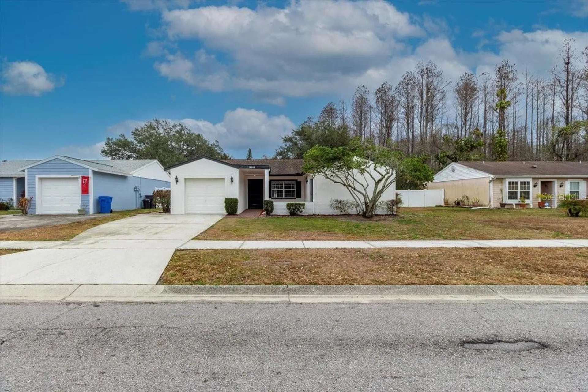 14003 Basin Street Tampa FL 33625