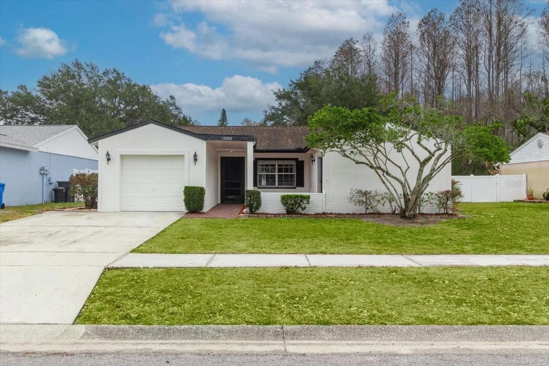14003 Basin Street Tampa FL 33625
