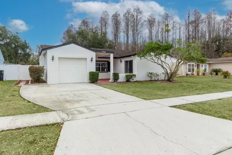14003 Basin Street Tampa FL 33625