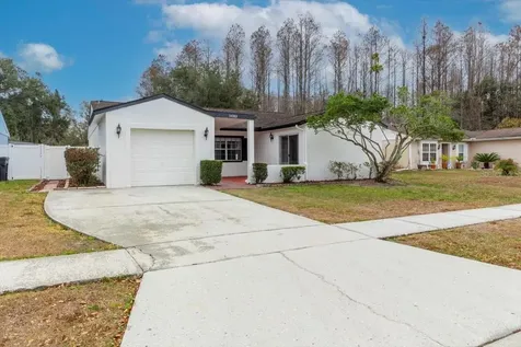 14003 Basin Street Tampa FL 33625