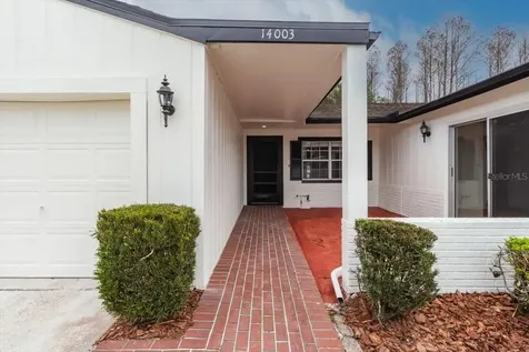 14003 Basin Street Tampa FL 33625