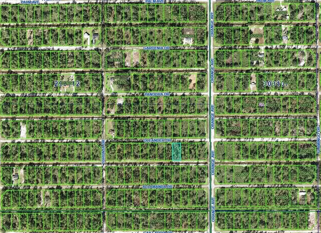 0 Oleander Drive Indian Lake Estates FL 33855
