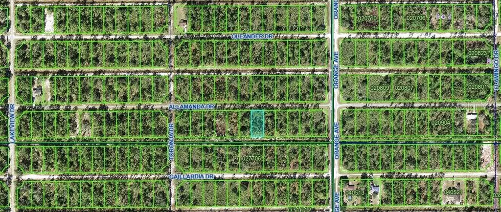 0 Allamanda Drive Indian Lake Estates FL 33855