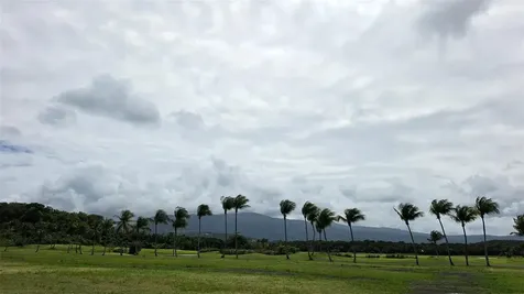 Coco Beach S 110 Gaviota Rio Grande PR 00745