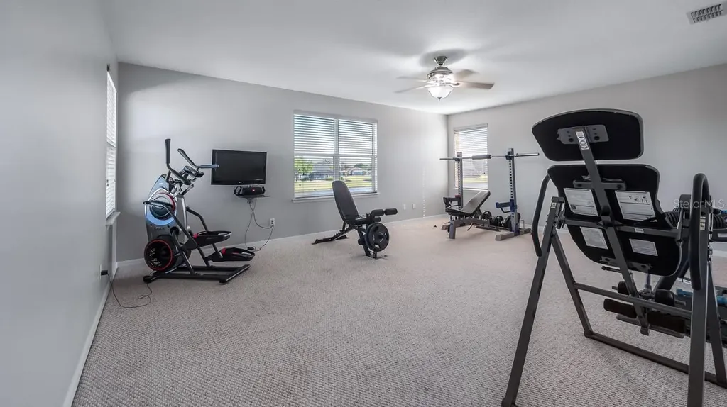 7351 Spring Mountain Lane Yalaha FL 34797