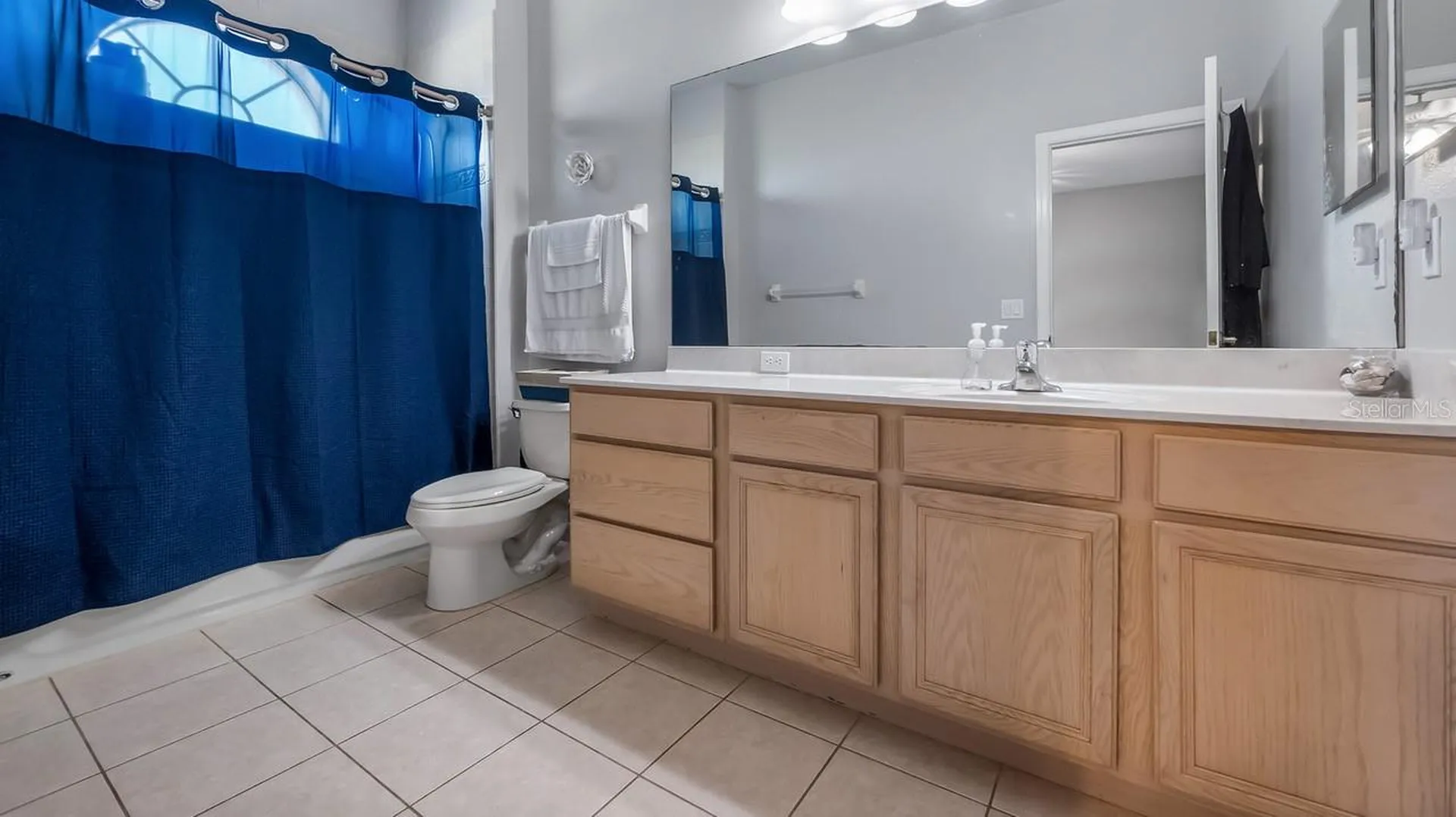 7351 Spring Mountain Lane Yalaha FL 34797