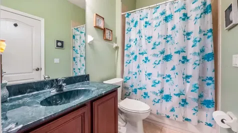 7351 Spring Mountain Lane Yalaha FL 34797