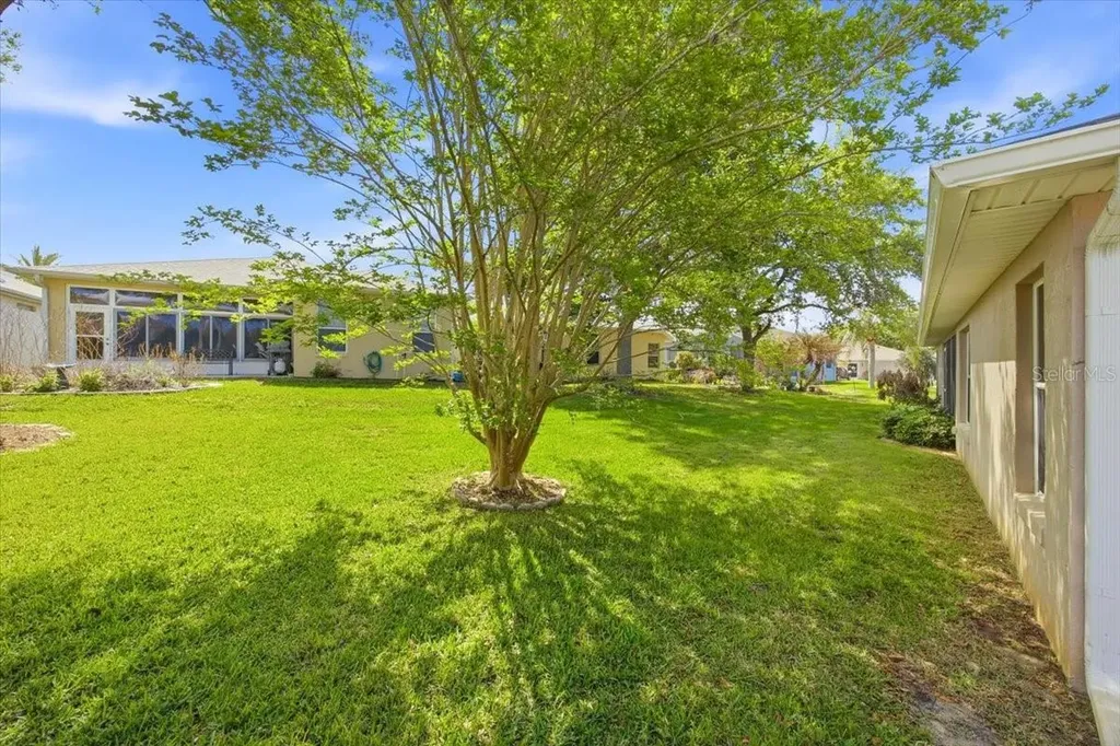 4913 Rainbow Trout Road Tavares FL 32778