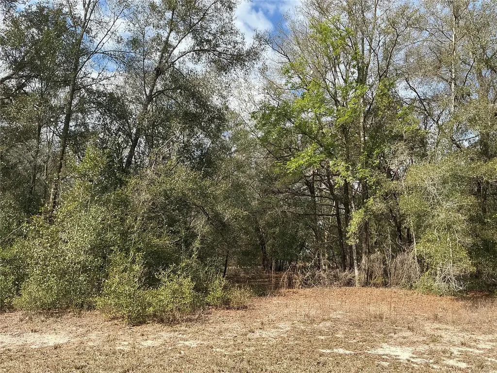 9299 Goodstone Drive Webster FL 33597