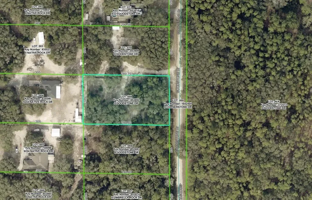 9299 Goodstone Drive Webster FL 33597