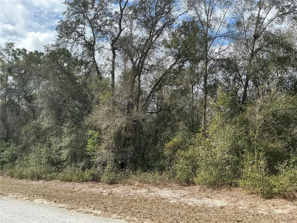 9299 Goodstone Drive Webster FL 33597