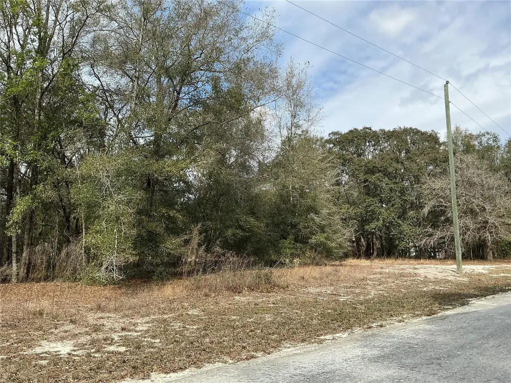 9299 Goodstone Drive Webster FL 33597