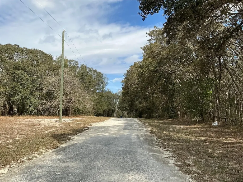 9299 Goodstone Drive Webster FL 33597
