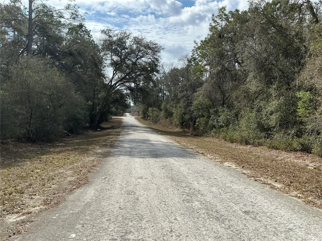 9299 Goodstone Drive Webster FL 33597