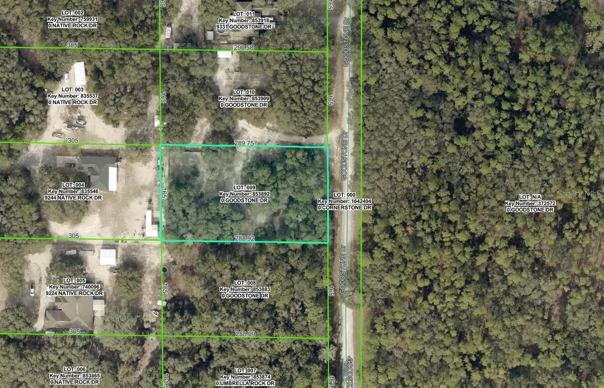9299 Goodstone Drive Webster FL 33597