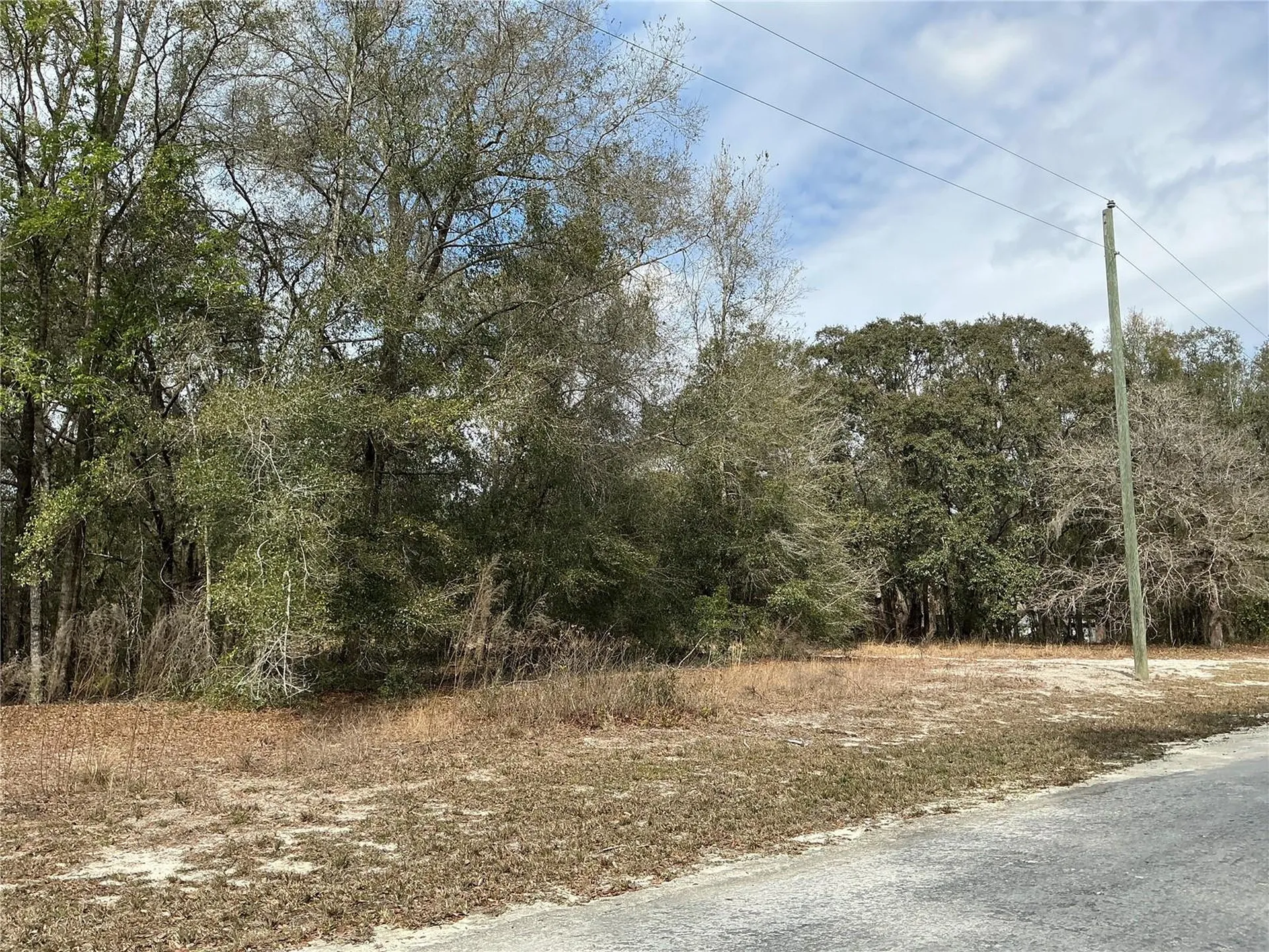 9299 Goodstone Drive Webster FL 33597