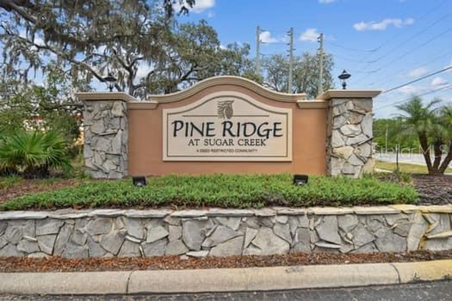 13103 Cypress Hill Drive Hudson FL 34669