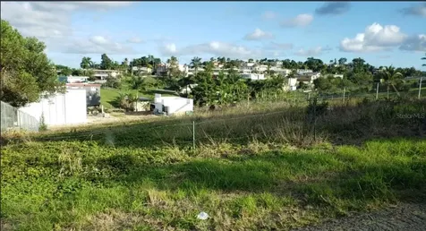 PR-9929 Barrio Lirios Juncos PR 00777