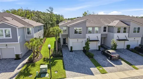 4220 Cloud Hopper Way Lutz FL 33559