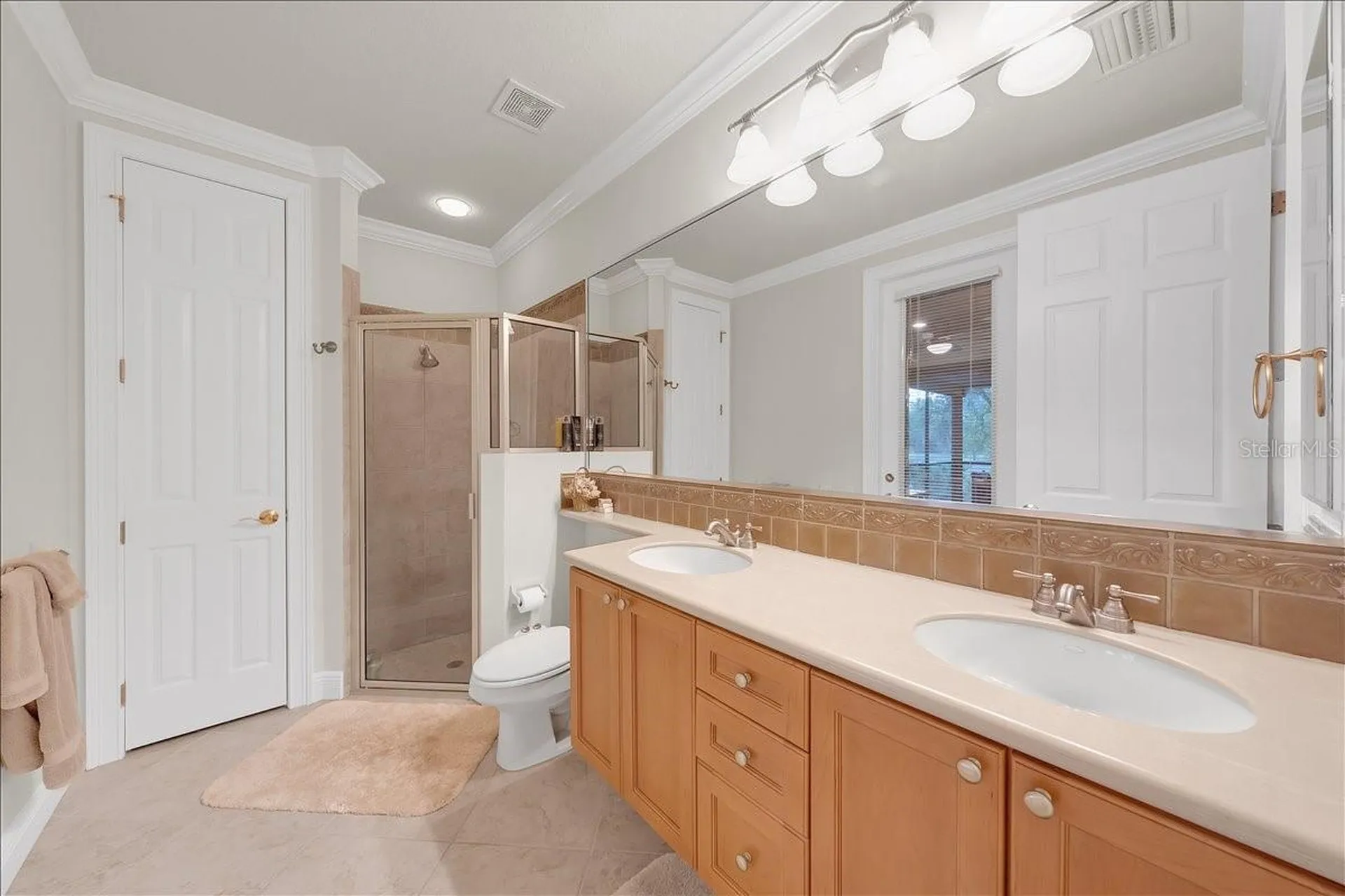 5702 Ternpark Drive Lithia FL 33547