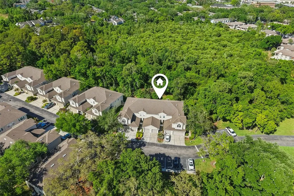 3661 Country Pointe Place Palm Harbor FL 34684