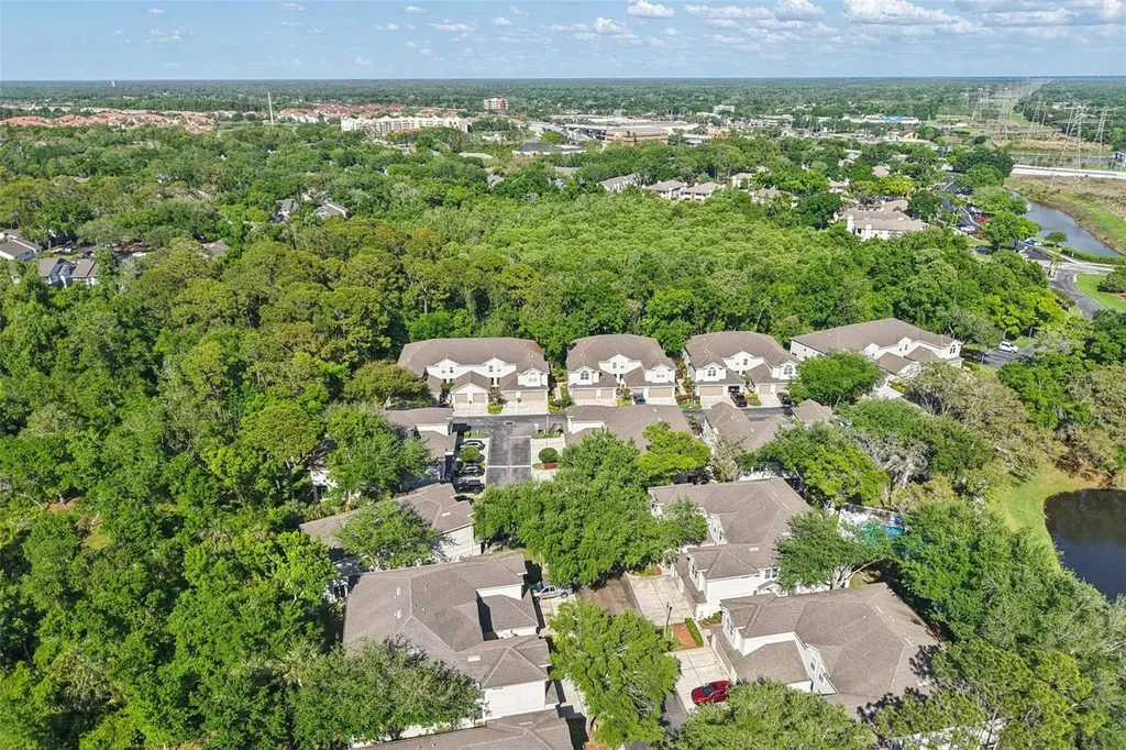 3661 Country Pointe Place Palm Harbor FL 34684
