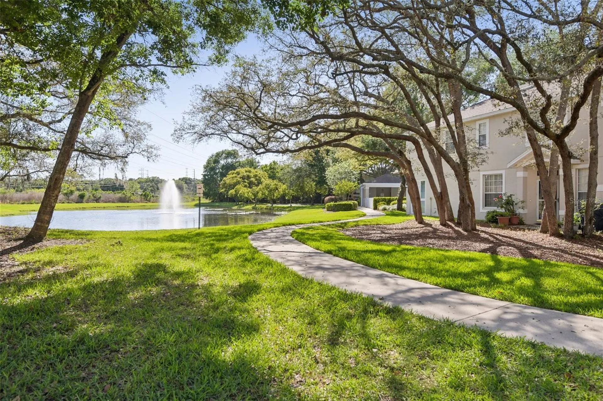 3661 Country Pointe Place Palm Harbor FL 34684