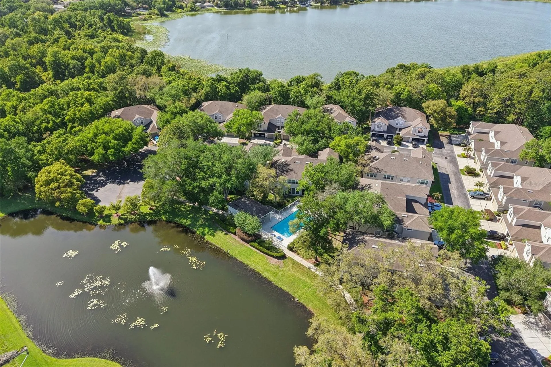 3661 Country Pointe Place Palm Harbor FL 34684