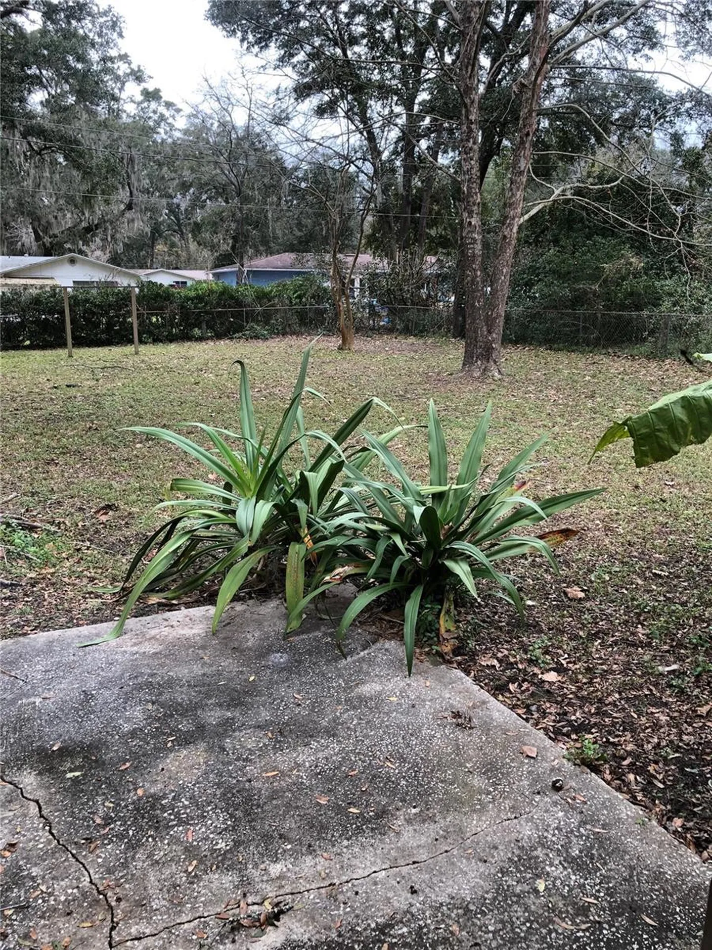 600 NW 52nd Terrace Gainesville FL 32607