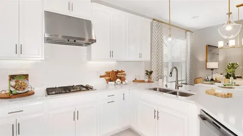 32468 Sea Loch Loop Mount Dora FL 32757