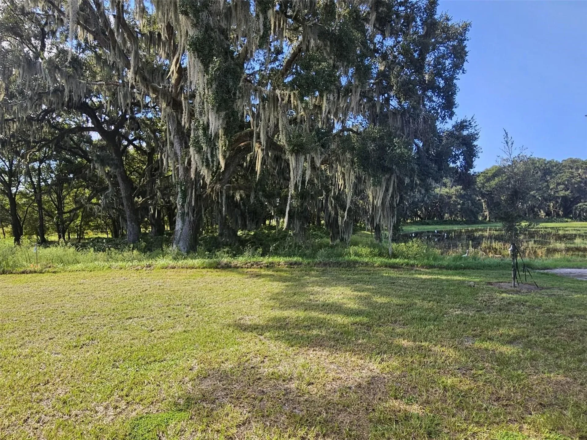 3087 Evenmore Way Wildwood FL 34785