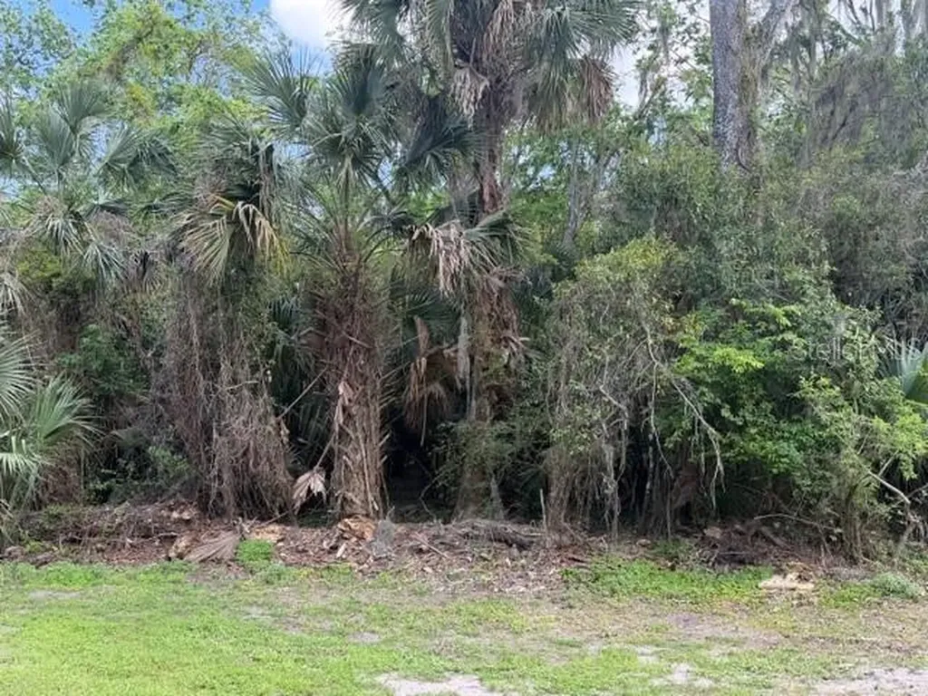 Cr 234 Micanopy FL 32667